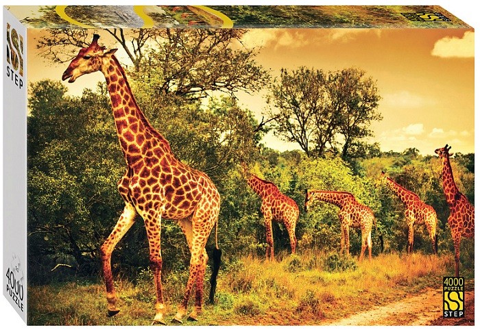 Пазл 4000 "Южноафриканские жирафы"